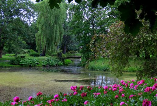 Ogród Botaniczny, Magdalena