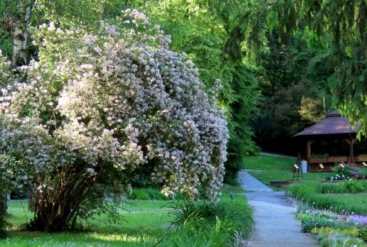 Ogród Botaniczny, Magdalena