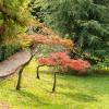 Opatija, Park Angiolina