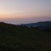 , mirosław