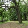 Milicz, park przy pałacu Maltzanów, Joanna