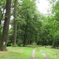Milicz, park przy pałacu Maltzanów, Joanna