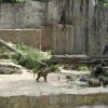 Wrocław, Zoo, Joanna
