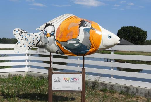 Ruda Sułowska, karp przy Hotelu Naturum, Joanna