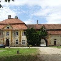 Goszcz, ruiny pałacu, Joanna