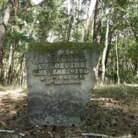 ścieżka Trzy Stawy, w drodze nad Staw Stary, Joanna