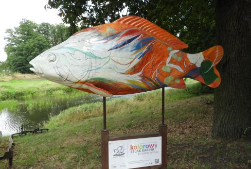 kolorowy karp przy pałacu w Żmigrodzie, Joanna