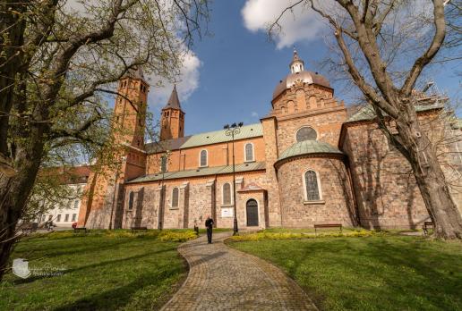 Płock katedra