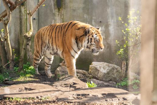 Płock Zoo