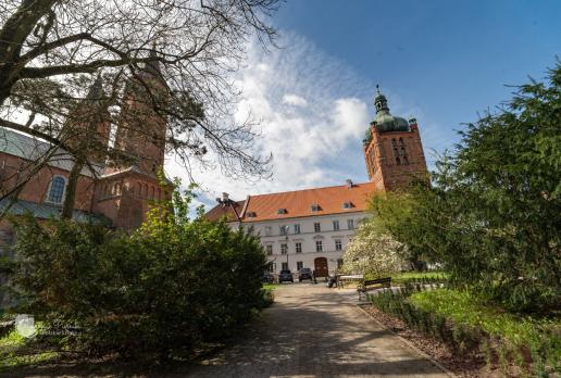 Płock
