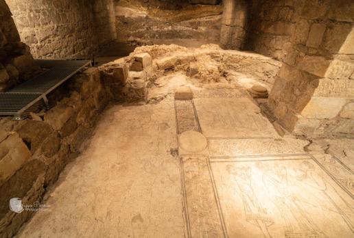 Muzeum Archeologiczne w Wiślicy