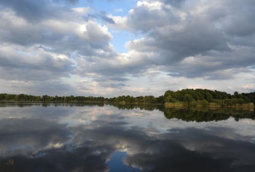 Staw Słoneczny, Joanna
